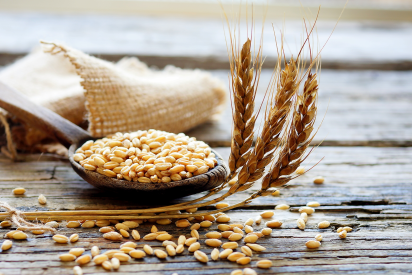 Les céréales entrant dans la fabrication de notre pain, sont une grande source de fibre.